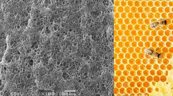 epp發泡聚丙烯的顯微結構，可以看到這是種連續閉孔結構，類似于蜂窩